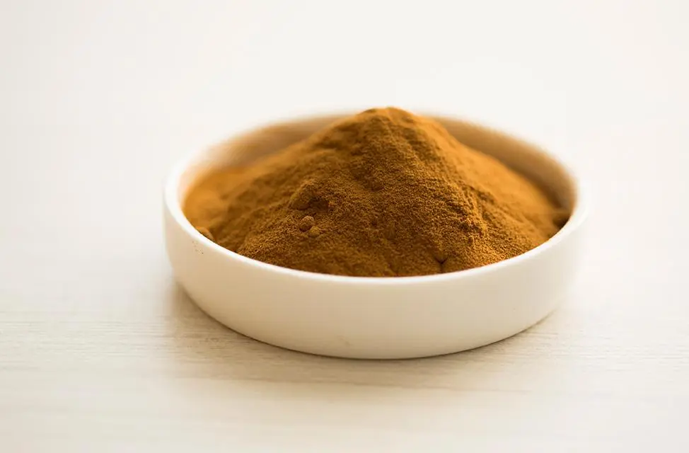 PROTEINA VEGETAL HIDROLIZADA